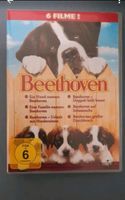 Beethoven filme Nordrhein-Westfalen - Bocholt Vorschau