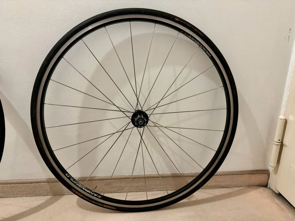 Campagnolo Nucleon Tubular LRS in München