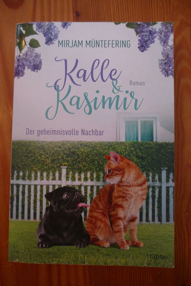 Buch Roman Kalle & und Kasimir Der geheimnisvolle Nachbar in Striegistal