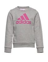 Adidas Mädchen Pullover Essentials Big Logo Cotton Sweatshirt Baden-Württemberg - Eberhardzell Vorschau