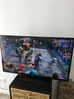 Panasonic Fernseher LCD ca. 40 Zoll TX-39AW304 Schleswig-Holstein - Norderstedt Vorschau