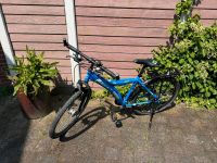 Mountainbike Prince  wild heater Nordrhein-Westfalen - Rheinberg Vorschau