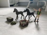 Schleich Fohlen Set Nordrhein-Westfalen - Marsberg Vorschau