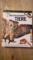 Mein großes Bildlexikon Tiere: Fische, Vögel, Insekten Sachsen-Anhalt - Barleben Vorschau