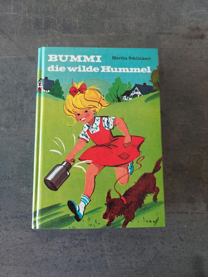 Buch Bummi die wilde Hummel in Bad Emstal