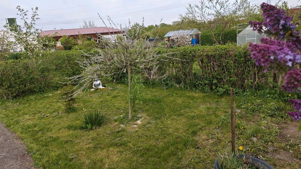 Garten Pachtgarten in Erfurt Gispersleben "Nach Feierabend"e.V. in Erfurt