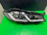 JAGUAR XF F PACE Scheinwerfer licht lampe RTMK83-13W029-HC Eimsbüttel - Hamburg Stellingen Vorschau