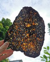 Mineralien Meteorit Pallasit, Sericho, Kenia Rheinland-Pfalz - Mainz Vorschau