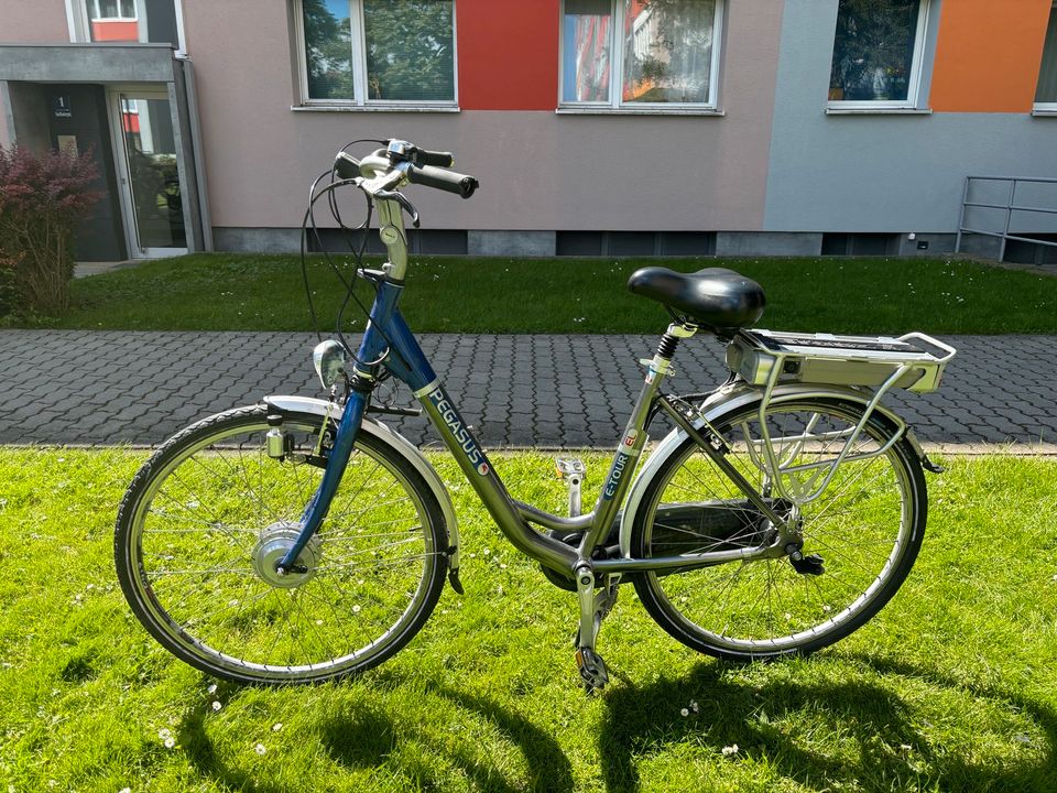 Pegasus E-Bike in München