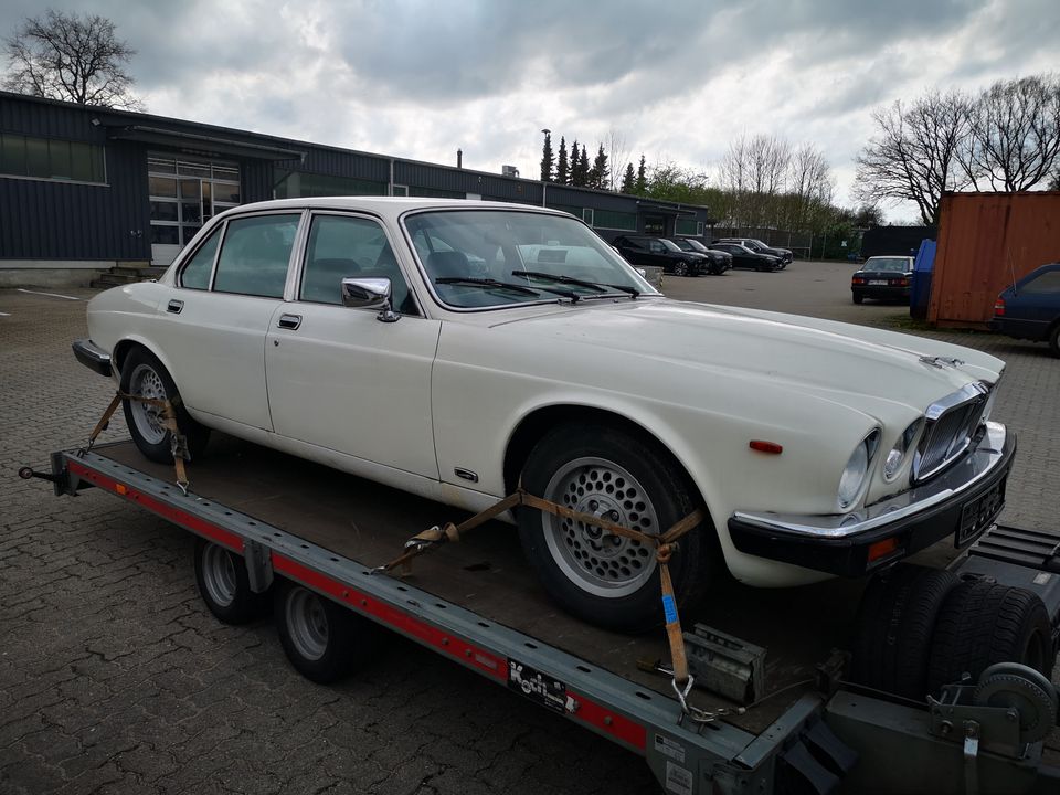 Jaguar XJ 12 weiß (Oldtimer) in Schenefeld