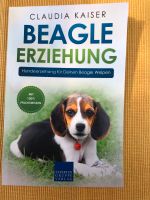 Buch Beagle Erziehung Schleswig-Holstein - Lübeck Vorschau