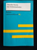 Theodor Storm Der Schimmelreiter Reclam Lektüreschlüssel XL Sachsen-Anhalt - Ausleben Vorschau