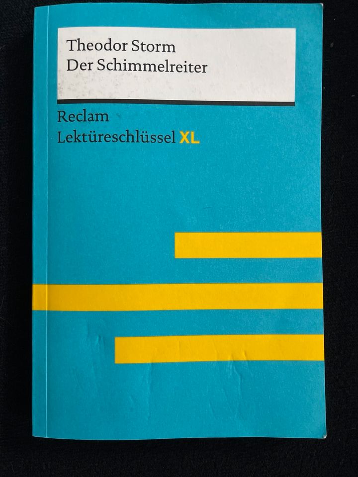 Theodor Storm Der Schimmelreiter Reclam Lektüreschlüssel XL in Ausleben