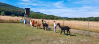 Hofrunde ab Sachsen - Waltersdorf Vorschau