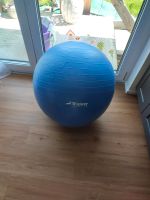 Trideer Exercise Ball | Sitzball Baden-Württemberg - Rastatt Vorschau