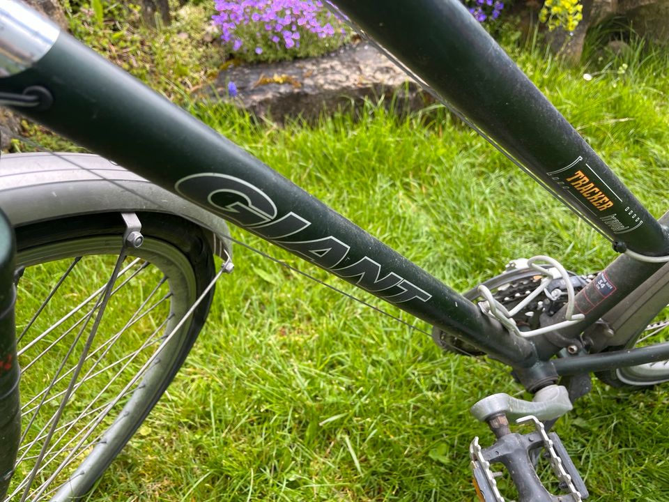 Damenfahrrad in Tübingen