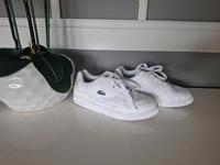 Turnschuhe  Größe  36 UK 5 5 Lacoste Hessen - Reinheim Vorschau