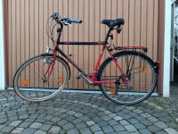 Fahrrad Herren Modell Wheeler 5000 Baden-Württemberg - Wiernsheim Vorschau