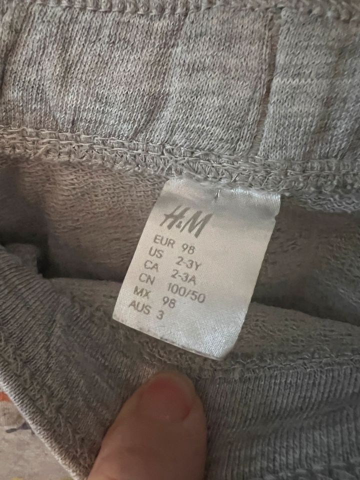 H&M Shorts grau Dino Gr. 98 in Steina