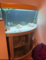 Juwel Aquarium halbrund mit Unterschrank  190 Liter Niedersachsen - Buchholz in der Nordheide Vorschau