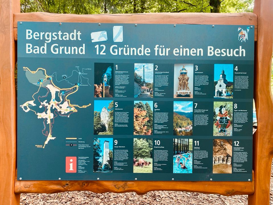 Bau-Grundstück mit Wald/Grünfläche   Harz I Bad Grund in Bad Grund (Harz)