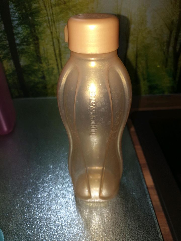 Tupperware Trinkflasche 500 ml -> reduziert in Riedstadt