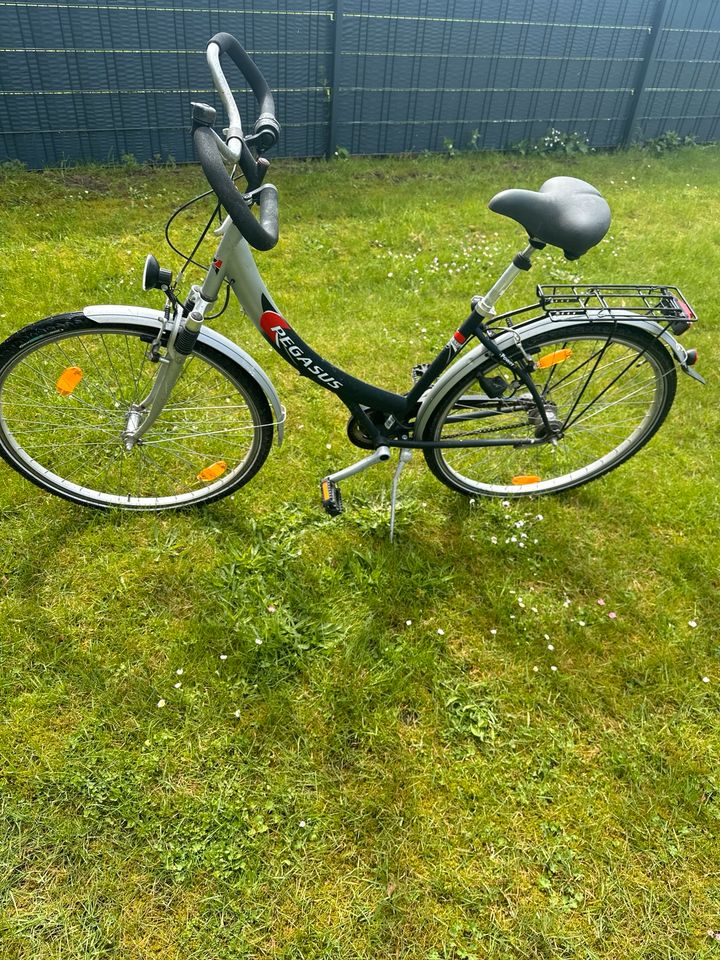 Pegasus Fahrrad in Ratekau