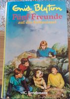 Fünf Freunde auf der Felseninsel Buch Schleswig-Holstein - Selk Vorschau