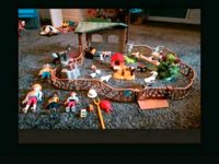 Playmobil Streichelzoo Pinguinbecken Pirateninsel und Piratenkoff Nordrhein-Westfalen - Recklinghausen Vorschau