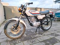 Honda CB50 Export Version Nordrhein-Westfalen - Gütersloh Vorschau