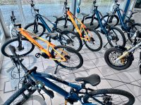 e-Bike, Hardtail, TOTEM, Mountainbike, Cross Bike, Intube, 504W Bayern - Stephansposching Vorschau