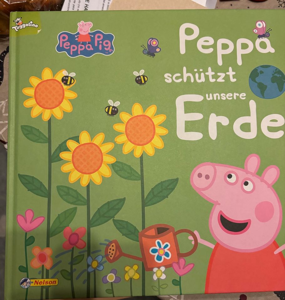 Bücher für die Kita / Erzieher in Bremen