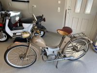 ❗️Wir kaufen Simson S50 S51 S53 S70 Vogelserie DDR Mopeds❗️ Thüringen - Ronneburg Vorschau