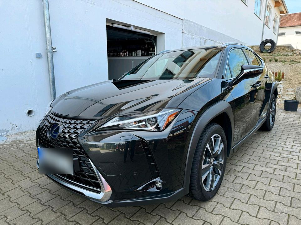 Lexus UX 250 H in Hohenthann