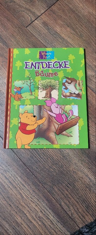 Winnie Puuh Gute-Nacht-Geschichten / Kinderbuch / Entdecke in Thum