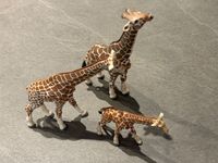 Schleich Tiere Giraffen Hessen - Petersberg Vorschau