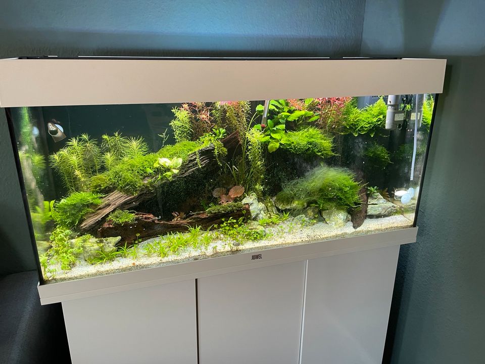 Aquarium Juwel Rio 180 mit Unterschrank „Komplett Set in Neumünster