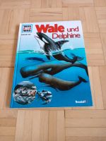 Was ist was, Band 85, Wale und Delphine Rheinland-Pfalz - Andernach Vorschau