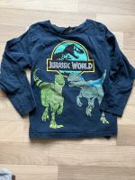 Langarmshirt Dinos, Gr. 116 Bayern - Tirschenreuth Vorschau