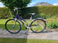 Damen Fahrrad 28 Zoll Pegasus Niedersachsen - Uelzen Vorschau