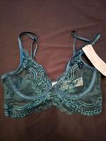 hunkemöller Bh Spitzen bh 70c Dortmund - Lütgendortmund Vorschau