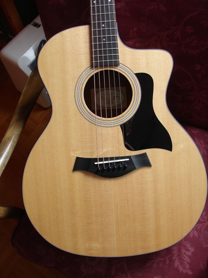 Taylor Gitarre 114 ce mit Gator-Gitarrenkoffer und Tuner in Duderstadt