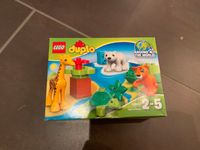 Lego Duplo Set 10801 OVP Nordrhein-Westfalen - Bestwig Vorschau