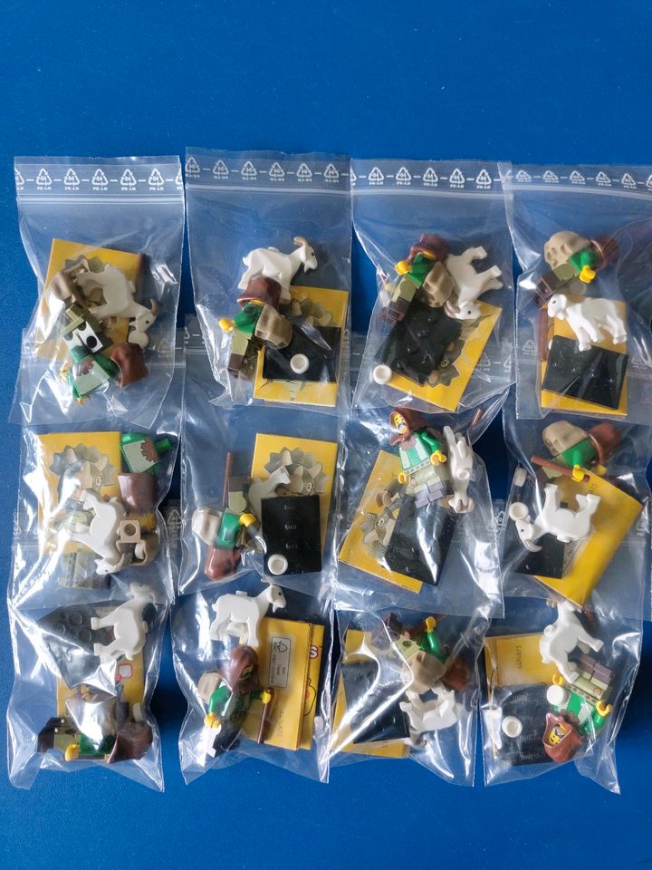 Lego Minifiguren Serie 25 Ziegenhirte in Troisdorf