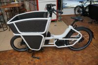 Urban Arrow Shorty Cargo Line Lastenrad Vorführer, wie neu HB Hemelingen - Sebaldsbrück Vorschau