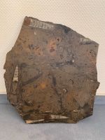 Fossile Steinplatte Ronald Schmitt Tische, Coniatiten, Gradhörner Frankfurt am Main - Ostend Vorschau