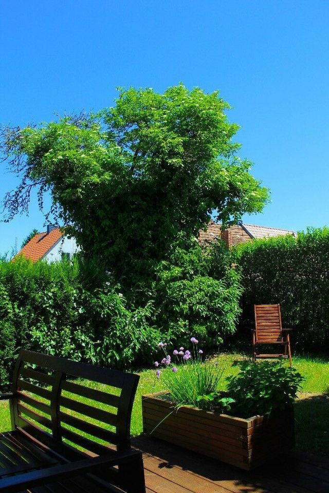 Gemütliche Ferienwohnung mit kleinem Garten in Saarbrücken in Saarbrücken