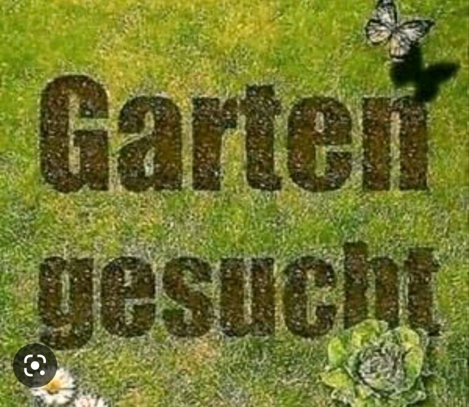 Garten für meinem Sohn gesucht in Teningen