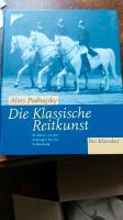 Die Klassische Reitkunstl Schleswig-Holstein - Mohrkirch Vorschau