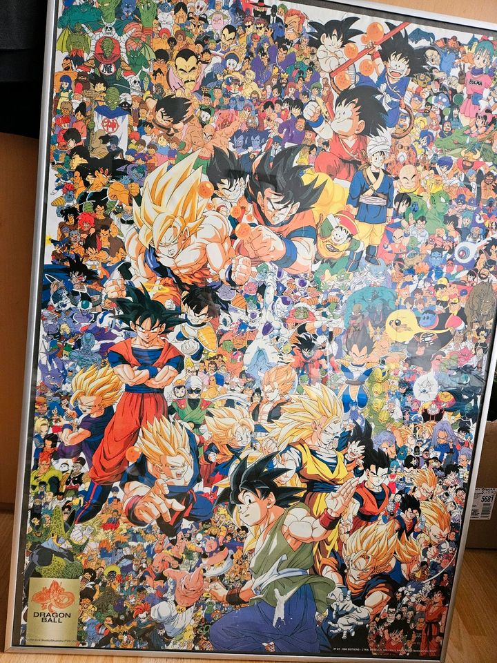 Dragonball Z 1989 Poster Dragon Ball Akira toriyama  Sammlerstück in Recklinghausen